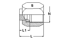 Male Connector