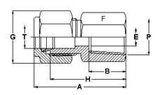 Male Connector