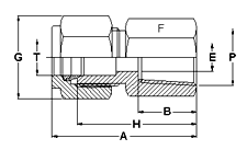 Male Connector