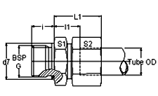 Male Connector