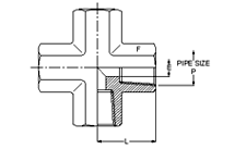 Male Connector