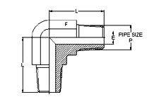 Male Connector