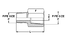 Male Connector