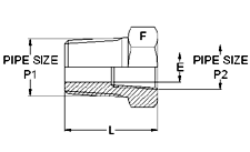 Male Connector