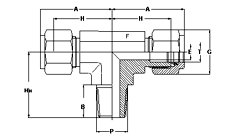 Male Connector